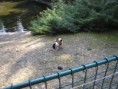 /album/sv-kopecek-zoo-olomouc-30-7-09/p1010115-jpg/